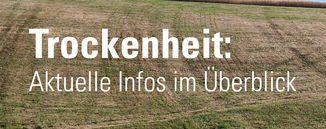 Banner 355x140px_Dürresituation © LK Niederösterreich