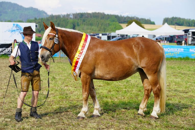 Lorelei@Ilka Thaler_Animalklick.jpg © Ilka Thaler_Animalklick