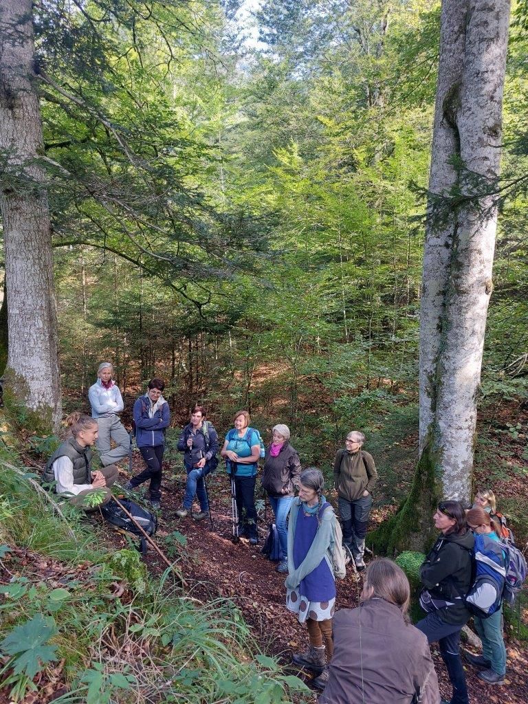 Waldspaziergang für Frauen.jpg © Forstliche Ausbildungsstätte Pichl/Karisch-Gierer