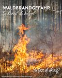 Posting Waldbrand 2026.jpg © LK Niederösterreich