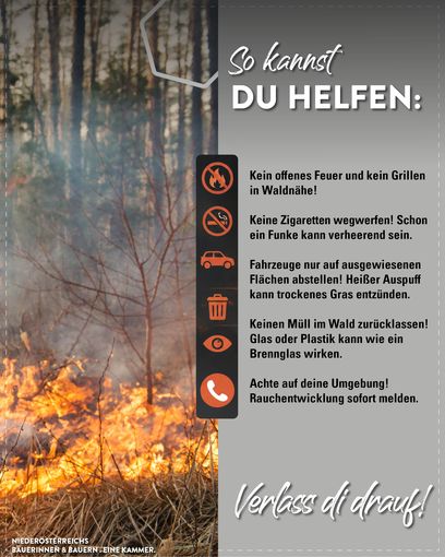 Posting Waldbrand 20262.jpg © LK Niederösterreich