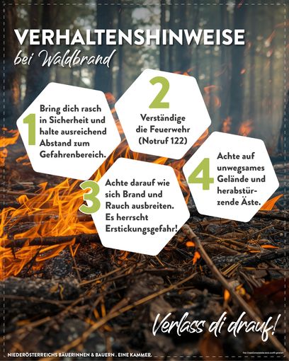 Posting Waldbrand 20263.jpg © LK Niederösterreich