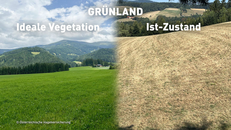 © HV Österreich