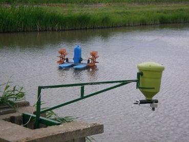 Schaufelradbelüfter.jpg © BAW-ÖKO/Archiv Aqua