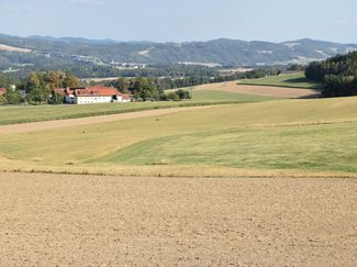 Trockenheit1_8.8.2026 © LK OÖ/Horner