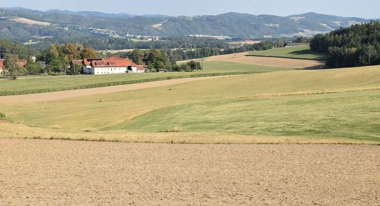 Trockenheit1_8.8.2026.jpg © LK OÖ/Horner
