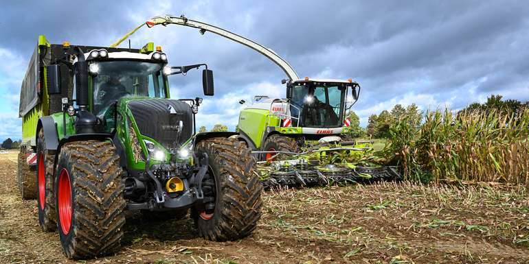 Maissilage © Adobe Stock