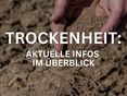 Trockenheit © LK Steiermark