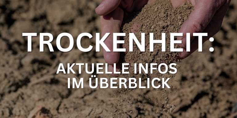 Trockenheit © LK Steiermark