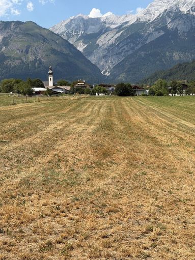 Vertrocknete landwirtschaftliche Wiesen und Felder © Reinhard Egger
