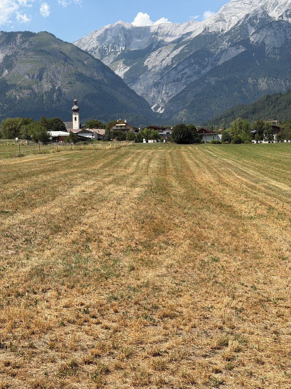 Vertrocknete landwirtschaftliche Wiesen und Felder © Reinhard Egger