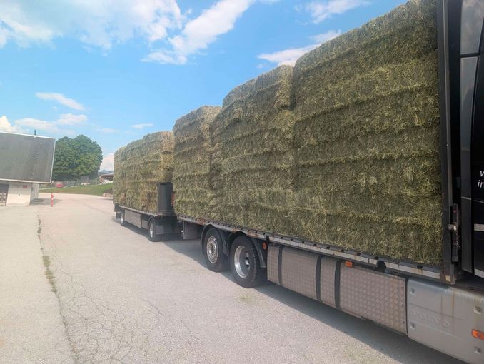 LKW mit getrocknetem Heu als Futtermittel für Tiere © Fuchs Roman