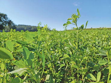 Übers Feld.jpg © Archiv