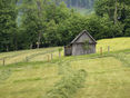 Heuernte © LFI Steiermark/Suppan