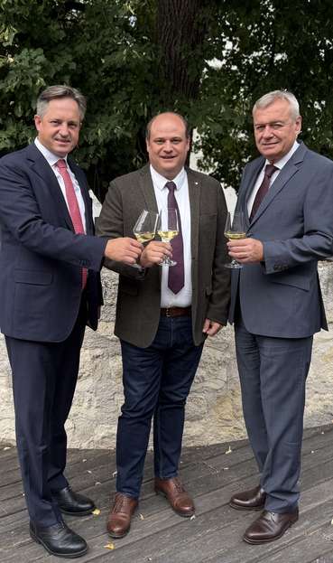 Schmuckenschlager Kast Glatt © Österreichischer Weinbauverband/Wolff