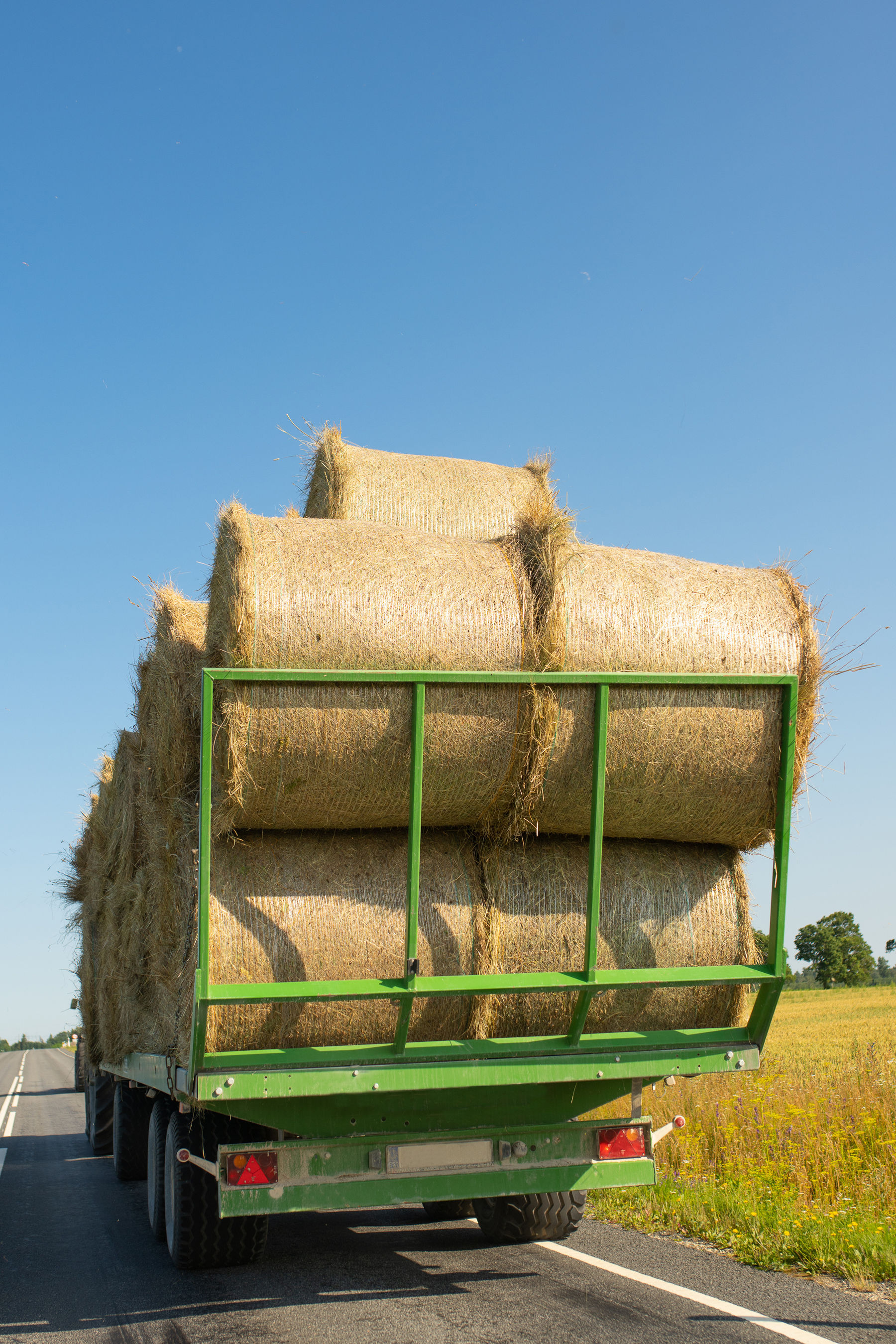 Futtertransport AdobeStock_2115950812.jpg © stock.adobe.com