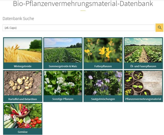 Biosaatgut-Datenbank - AGES.jpg © LK OÖ/Bioreferat