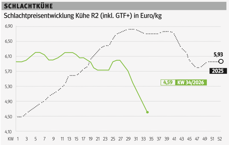 Schlachtkuhgrafik KW 34.png © Grafik RZV
