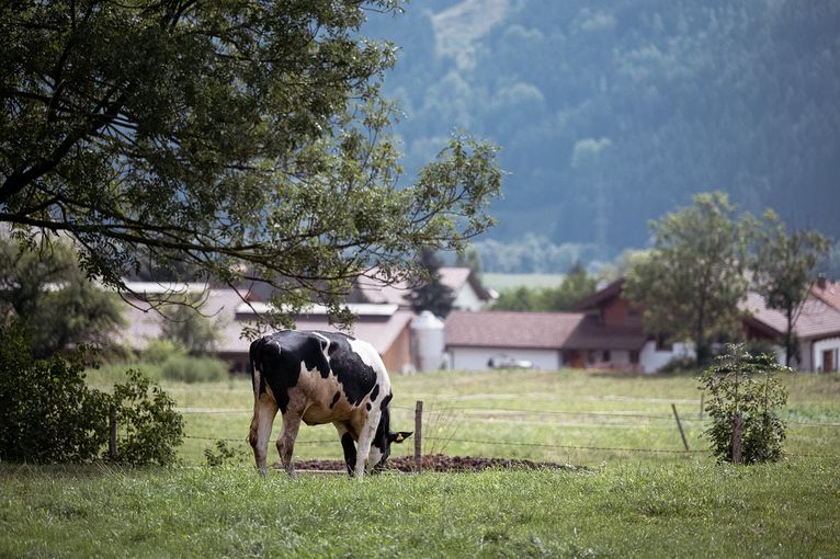 © LK Steiermark-Daniel Winter
