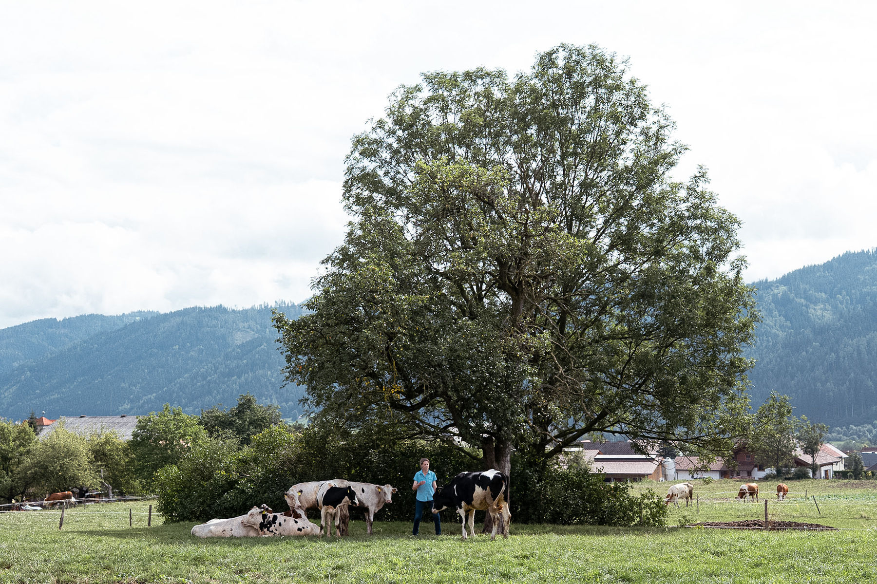 © LK Steiermark-Daniel Winter