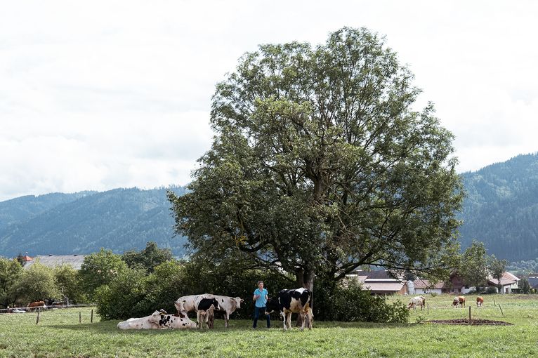 © LK Steiermark-Daniel Winter