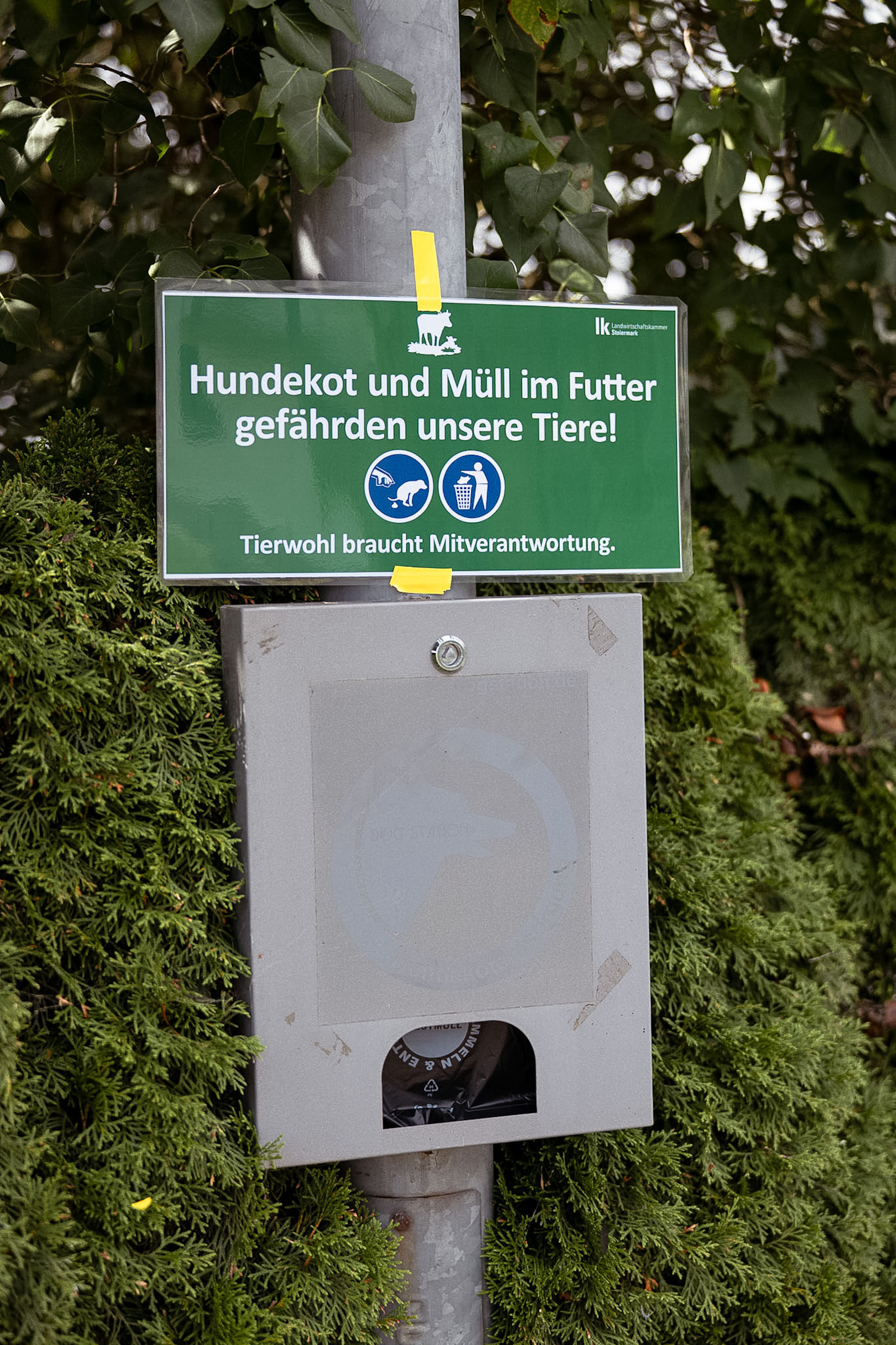 © LK Steiermark-Daniel Winter