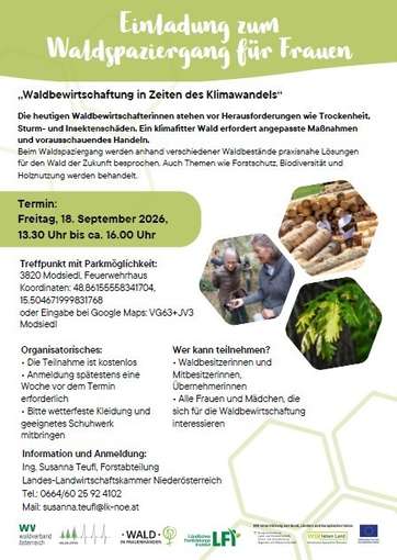Einladung Waldspaziergang für Frauen.jpg © LK NÖ