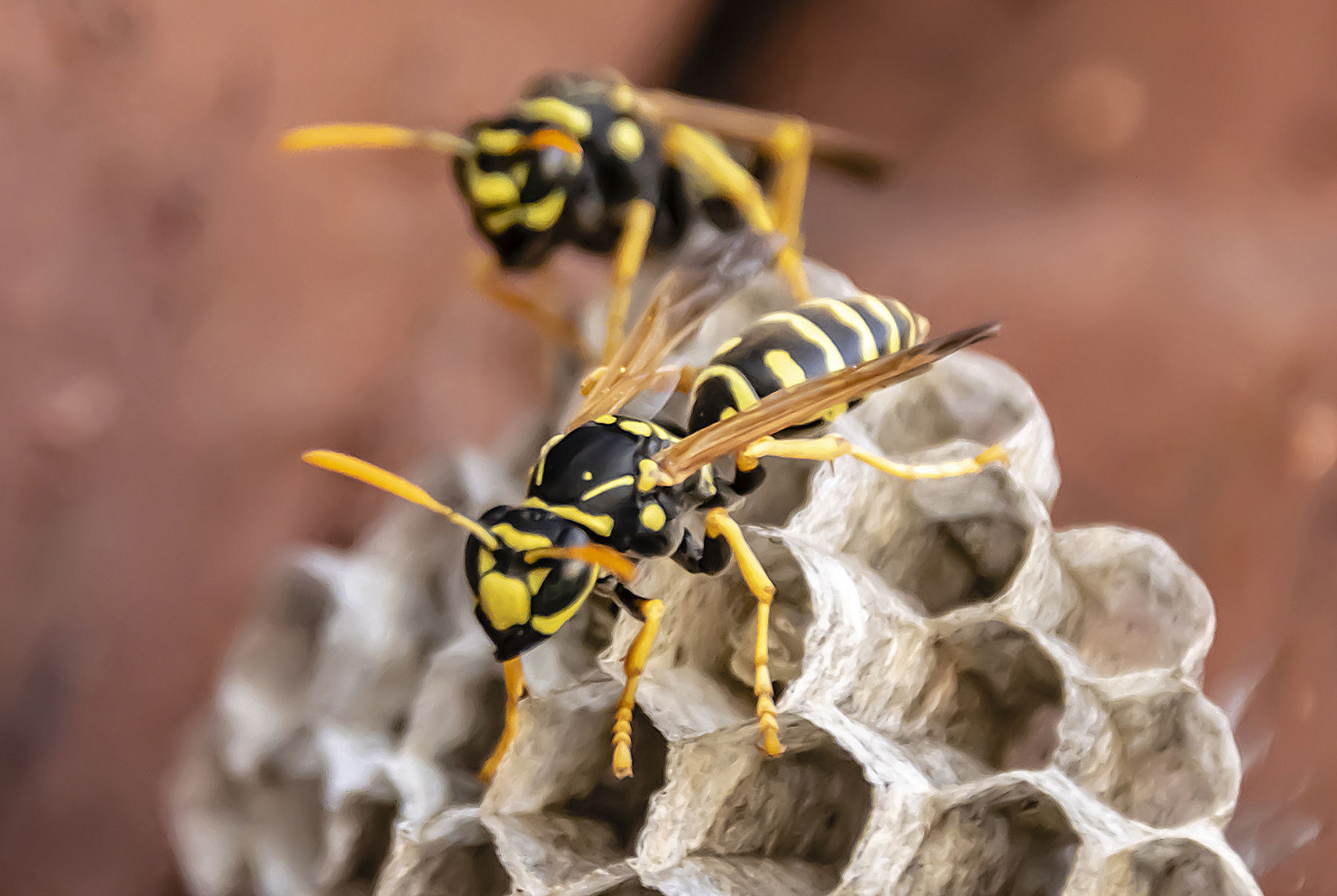 AdobeStock_342754154.jpg © AdobeStock/andRiU