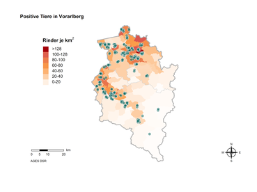 Leptospirose Vorarlberg © Wiener Tierärztliche Monatsschrift, Fasching et al. (2026)