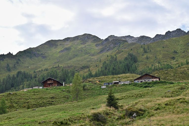 Wildalm org.jpg © Mooslechner