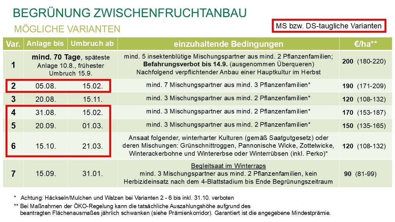 Begruenung_moegliche Varianten.jpg © Clemens Hofbauer/LK Niederösterreich