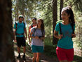 Waldwege © stock.adobe.com
