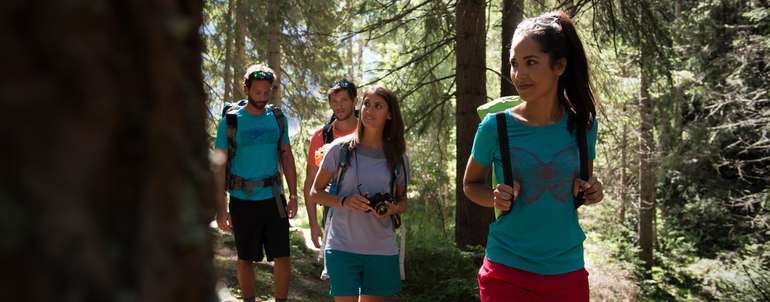 Waldwege.jpg © stock.adobe.com