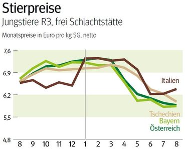 NÖ: Entwicklung Stierpreis © LK NÖ