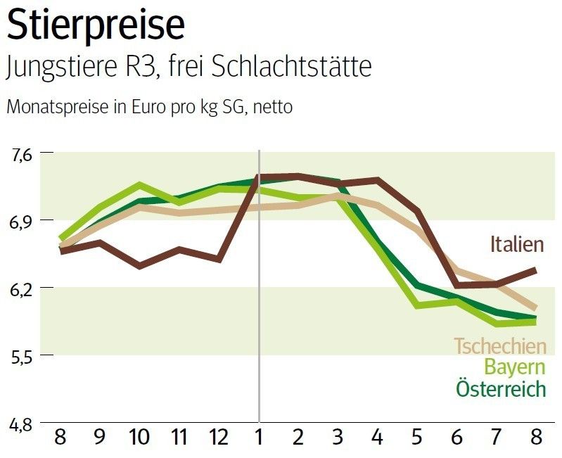 NÖ: Entwicklung Stierpreis © LK NÖ