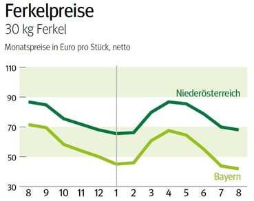 NÖ: Ausblick auf den Ferkelmarkt © LK NÖ