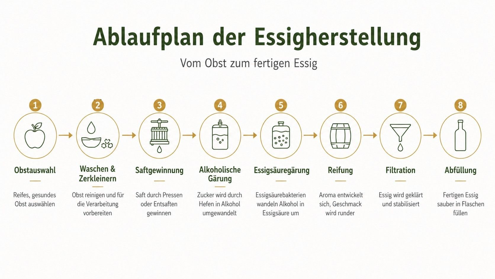 Ablaufplan Essigherstellung.jpg © LK Steiermark