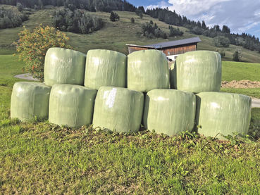 Futtermangel:  Wie lassen sich  Rationen strecken?.jpg © Berger