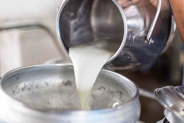 Milch AdobeStock_139104846.jpg © stock.adobe.com