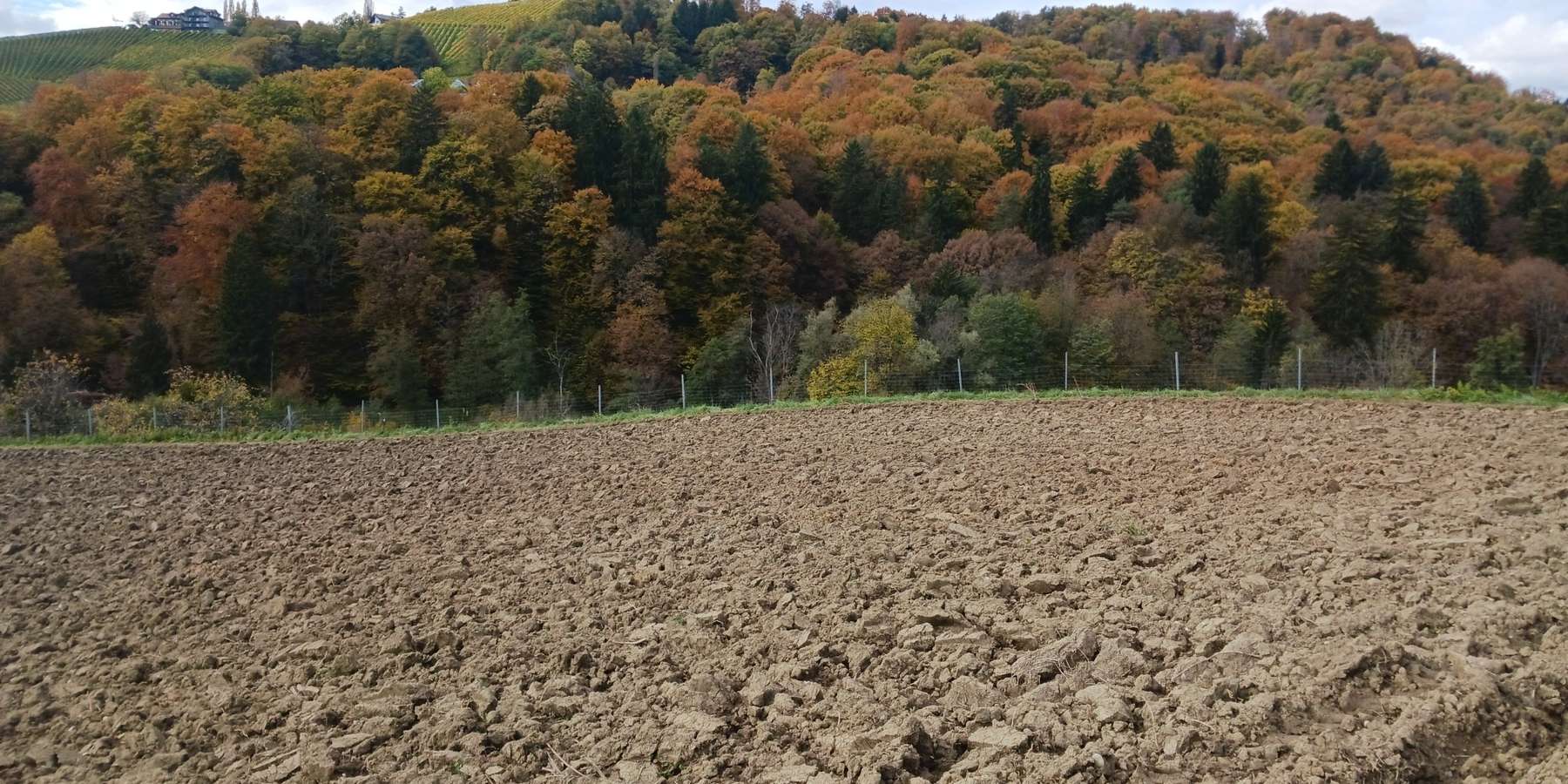 Grünlandumbruch.jpg © LK OÖ/Mandl