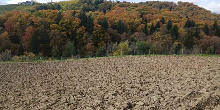 Grünlandumbruch.jpg © LK OÖ/Mandl