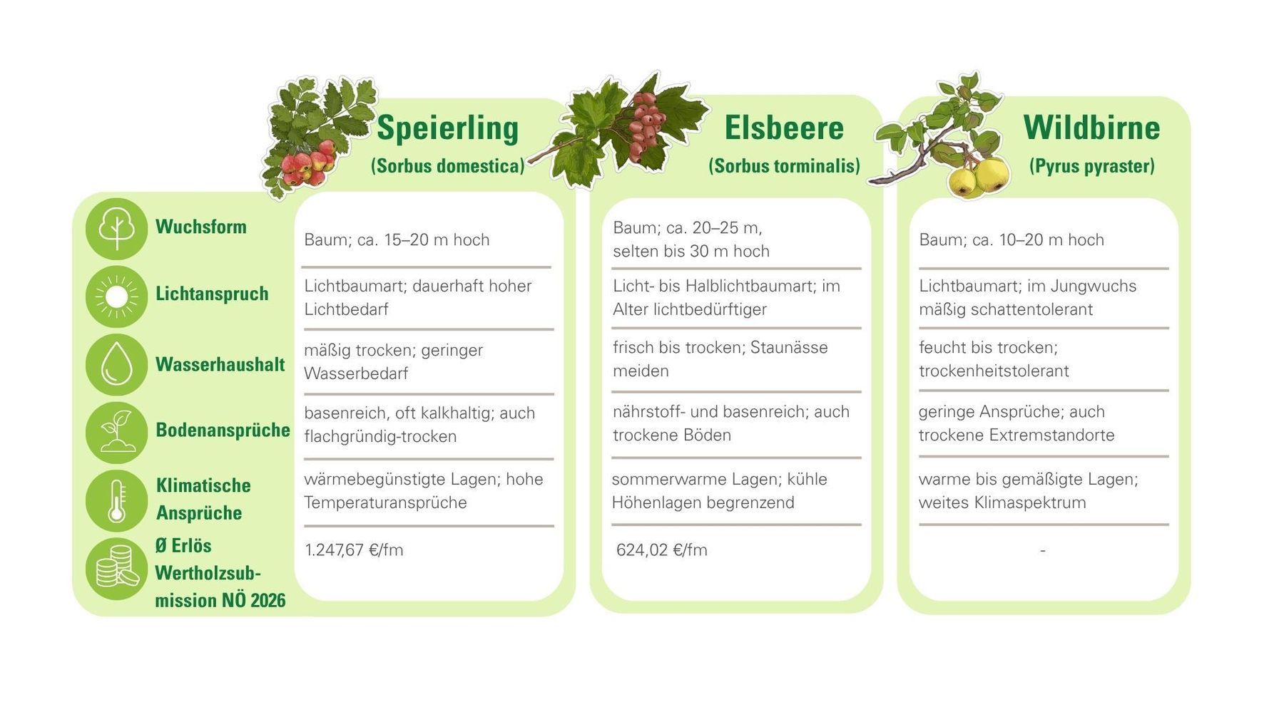 Steckbrief Wildobst.jpg © LK Niederösterreich