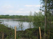 Teichlandschaft.jpg © Standl