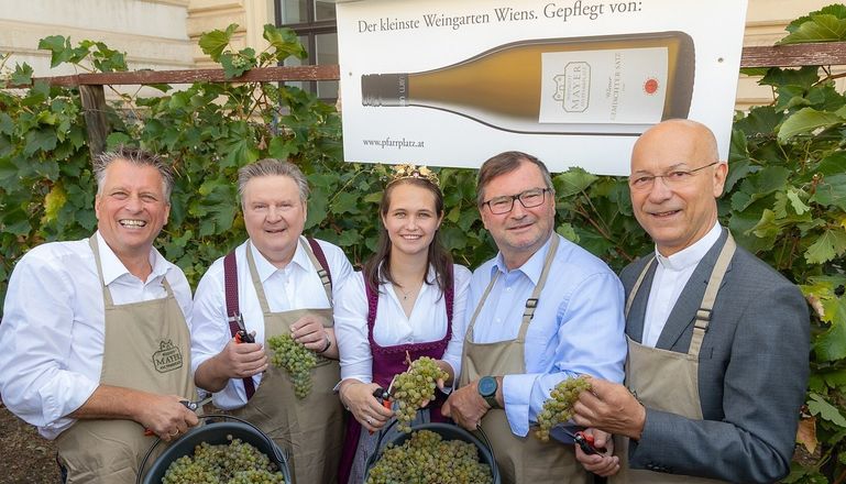 Weinlese am Schwarzenbergplatz 2026 © Harald Klemm Landwirtschaftskammer Wien