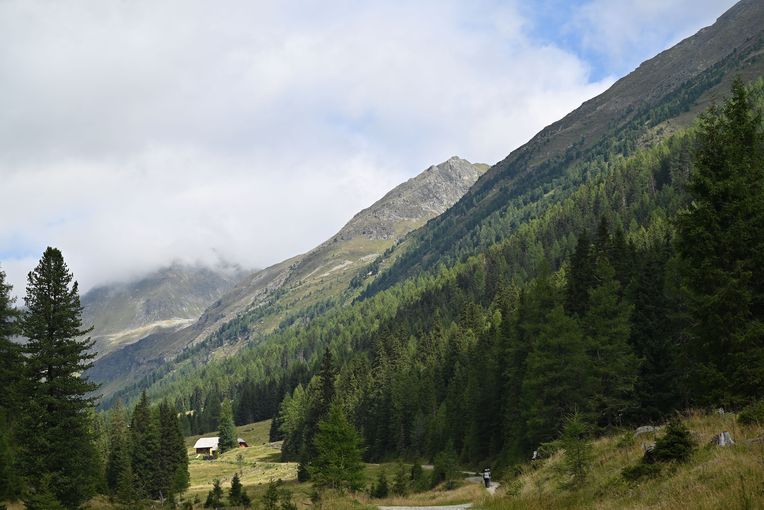 Ebenhandl12.jpg © Mooslechner