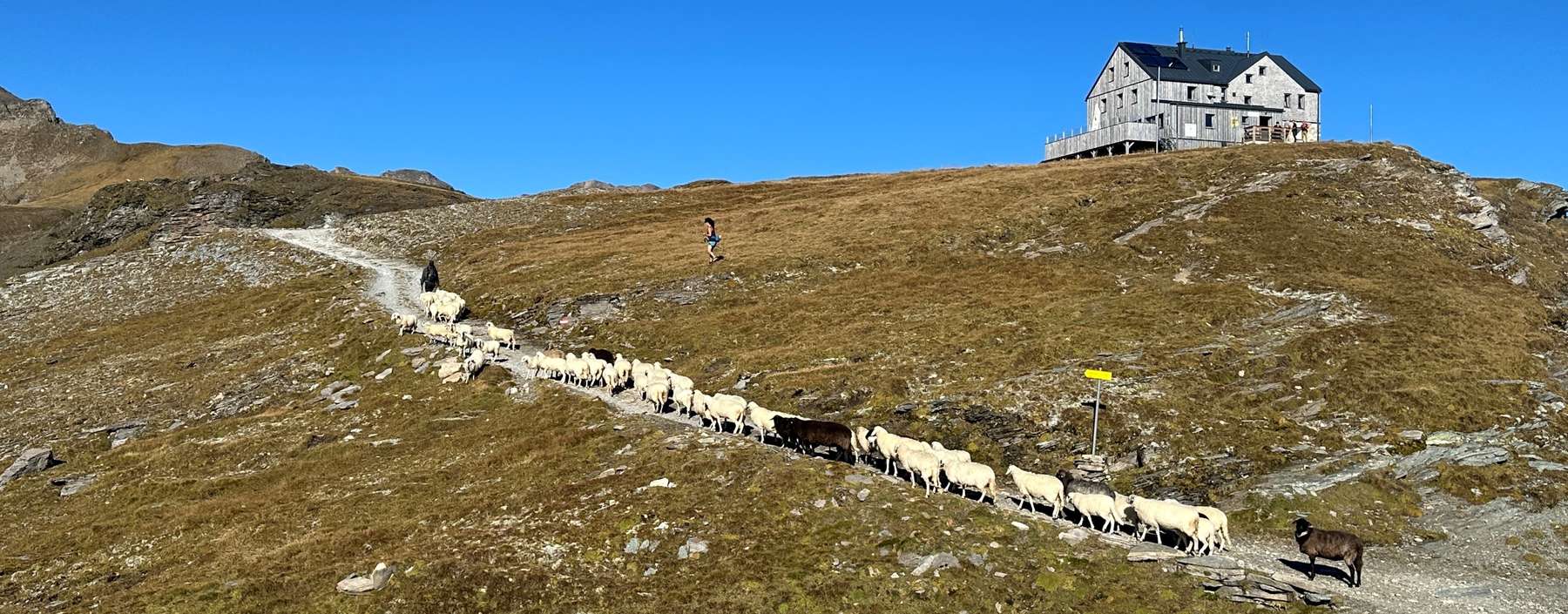 Almabtrieb1.jpg © LK Kärnten/Eduard Penker