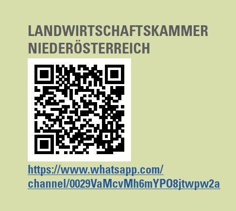 Whatsapp Kanal_LK NÖ.jpg © LK NÖ
