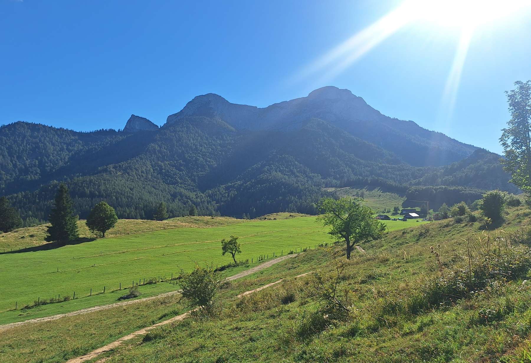 Leiter Schafberg LK OÖ Ablinger.jpg © LK OÖ/Ablinger