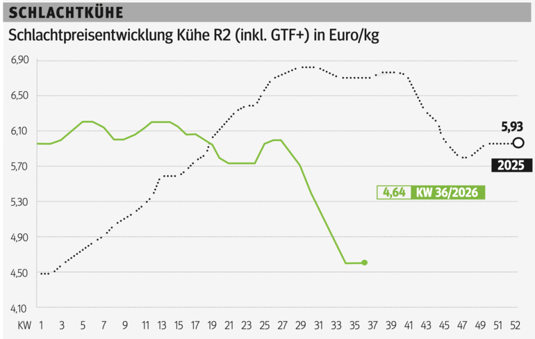 Schlachtkuhgrafik KW 36.png © Grafik RZV