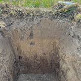 17 Feldtag No-Till Day.jpg © BWSB